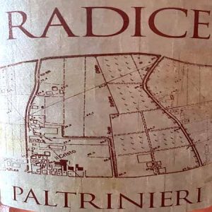 Il Vino Del Giorno Radice 2021 Il Vino E Oltre